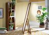 Standspiegel Akazie 75x3x175 nougat lackiert OXFORD #319 Bild 2