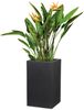 Scheurich C-Cube High 54, Hochgefäß/Blumentopf/Pflanzkübel, quadratisch, aus Kunststoff Farbe: Stony Black, 38 cm Durchmesser, 53,7 cm hoch, 26 l Vol. Bild 3
