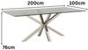 alesvelt Esstisch Terni transparent Glasplatte Edelstahlbeine im edlen Design 200 cm (1-Tisch), 200 x 100 x 76 cm Bild 3