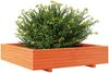 vidaXL Pflanzkübel Wachsbraun 110x110x26,5 cm Massivholz Kiefer 847325 Bild 4