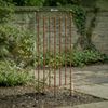 Rankgitter FREYA 2er Set - 50x0,7x100cm, Metall, Antik-Braun | Rankhilfe Kletterpflanzen Gartendekoration Bild 2