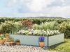 GFP HALFSIZE Aluminium Hochbeet - Platzsparendes & Stabiles Gartenbeet in Aluminium eloxiert - 195 x 150 x 39 cm - Ideales halbhohes Modell für Familien-Gartenspaß Bild 1