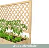 Pflanzkasten mit Rankgitter THIO - Inkl. Vlies & Handschuhe | Hochbeet mit Rankhilfe Blumenkasten für Kletterpflanzen hängende Körbe Pflanzgefäß aus Holz, 128cm Breit Bild 3
