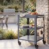 Outdoor Servierwagen Bolognano Stahl 81x50x50 cm Dunkelgrau [casa. pro] Bild 4