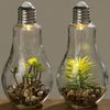 BOLTZE GRUPPE GmbH LED Tischleuchte LED Tischleuchte mit Pflanze Ø 11 cm H 23 cm Glas Bild 2