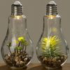 BOLTZE GRUPPE GmbH LED Tischleuchte LED Tischleuchte mit Pflanze Ø 11 cm H 23 cm Glas Bild 3