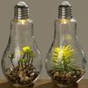 BOLTZE GRUPPE GmbH LED Tischleuchte LED Tischleuchte mit Pflanze Ø 11 cm H 23 cm Glas Bild 4