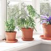 vidaXL Blumentöpfe 6 pcs Ziegelrot Ø 15 x 12 cm Kunststoff 3403255 Bild 4