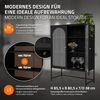 ML-DESIGN Vitrine Buffet Küchenschrank Vitrinenschrank für Geschirr Stauraumvitrine Wohnzimmer Vitrine Standschrank Metall Schrank Kommode Bücherschrank Bild 3