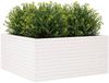 vidaXL Pflanzkübel Weiß 100x100x46 cm Massivholz Kiefer 3282430 Bild 4