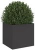 vidaXL Pflanzkübel Schwarz 32x30x29 cm Stahl 841535 Bild 4