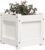 vidaXL Pflanzkübel Weiß 31x31x31 cm Massivholz Kiefer 837396 Bild 4