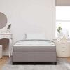 vidaXL Boxspringbett Taupe 120 x 190 cm Stoff 3398847 Bild 3