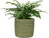 Scheurich Blumentopf Ø 19 cm Seegras grün Bild 2