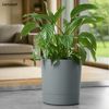 KONZEPT Blumentopf mit Untersetzer, großer Übertopf aus Kunststoff für Zimmerpflanzen (32,5 cm (20 Liter), modern und wetterfest, für Innen und Außen Bild 3