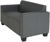2er Sofa Couch Lyon Loungesofa Kunstleder ~ dunkelgrau Bild 5