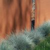 Adezz Paneel Basic Cortenstahl 60x180 cm Gartenpaneel Sichtschutz Paneel Garten Deko Wand Bild 2