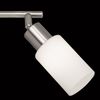 Reality | Trio Deckenspot, Deckenleuchte nickel matt, Glas opal matt Bild 3
