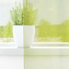 vidaXL Voile Vorhänge mit Ösen 2 Stk. Apfelgrün 140x175 cm 4102054 Bild 3