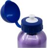 Aluminium Motiv Trinkflasche für Kinder 400ml Isoflasche mit Kappe Kinderflasche Frozen II Bild 3
