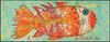 Funky Fish Bild 2