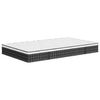 vidaXL Matratze Bonnell-Federkern Mittel 120x200 cm 3206383 Bild 3