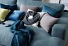 KAWOLA Big Sofa MADELINE mit Holztablett schwarz für Armlehne Stoff petrol 85 x 170 x 290 cm Bild 5