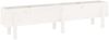 vidaXL Hochbeet Weiß 160x30x38 cm Massivholz Kiefer 825192 Bild 2