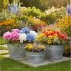 colourliving Blumentopf 3er Set Zinkwannen oval – Verzinkte Pflanzwannen aus Metall, Rustikale Pflanzwannen aus verzinktem Metall Bild 2