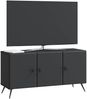 vidaXL TV-Schränk Schwarz 99 x 34,5 x 50 cm Holzwerkstoff 895636 Bild 2