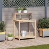 vidaXL Pflanztisch mit Ablagen 82,5x50x109,5 cm Massivholz Kiefer 832407 Bild 3
