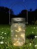 Dapo LED Solarleuchte Lichterkette im Glas warmweiß Bild 3