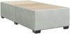 vidaXL Boxspringbett mit Matratze Hellgrau 80x200 cm Samt 3290768 Bild 5