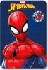 Spiderman Kuscheldecke für Kinder – Warme Fleecedecke in 140 x 100 cm Bild 3