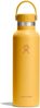 Hydro Flask Isolierflasche 21 Oz Std. Flex Cap, TempShield® doppelwandige Vakuumisolierung Bild 4
