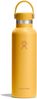 Hydro Flask Isolierflasche 21 Oz Std. Flex Cap, TempShield® doppelwandige Vakuumisolierung Bild 5