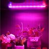 Sunicol Pflanzenlampe LED Pflanze Wachsen Lichtleiste, Rot Blau Spektrum, USB,5V, LED-Pflanzenwachstumsleuchte mit USB-Kabel, für Zimmerpflanzen Bild 3