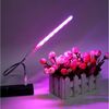 Sunicol Pflanzenlampe LED Pflanze Wachsen Lichtleiste, Rot Blau Spektrum, USB,5V, LED-Pflanzenwachstumsleuchte mit USB-Kabel, für Zimmerpflanzen Bild 4