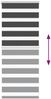 vidaXL Doppelrollo Schwarz 65x100 cm Stoffbreite 60,9 cm Polyester 4014202 Bild 5