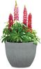 Scheurich Barceo 47, Pflanzgefäß/Blumentopf/Pflanzenkübel, rund, aus Kunststoff Farbe: Stony Grey, 47 cm Durchmesser, 36,1 cm hoch, 50 l Vol. Bild 4