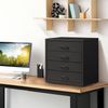 HollyHOME Schreibtisch Aktenschrank Organizer A4 Metall Schublade Schwarz Bild 2