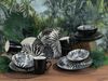 Tropicana Black, Kombiservice 16-tlg (mo) Bild 3