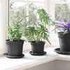 vidaXL Runder Blumentopf 24 pcs Schwarz Ø 12,5 x 10 cm Kunststoff 42020275 Bild 4