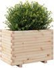 vidaXL Pflanzkübel 70x40x49,5 cm Massivholz Kiefer 847368 Bild 4