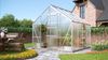 Vitavia Gewächshaus "Merkur 6700", aluminium eloxiert, 6,7 m²,4 mm HKP Bild 4