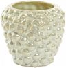 Dekovase Vase GRAPE von Light & Living Blumenvase Ø15x14 cm Keramik Creme Bild 2