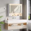 Spiegelschrank Bad mit LED-Beleuchtung, zusätzliche LED-Beleuchtung Oben und unten, 3 Farbtemperatur Dimmbare, Badspiegelschrank, Verstellbare Regal, 21 x 90 x 76 cm, Weiß Bild 1