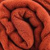 Babydecke Krabbeldecke Schmusedecke Kuscheldecke für Kleinkinder, flauschig weich nach ÖKO-TEX Standard 100 in vielen verschiedenen Ausführungen verfügbar in vielen Grüßen und Farben (ca. 70x100 cm / terracotta - ochre) Bild 4