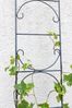 TrendLine Rankhilfe Metall 120 cm dunkelgrau Bild 3