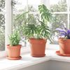 vidaXL Runder Blumentopf 6 pcs Ziegelrot Ø 19 x 16 cm Kunststoff 42020266 Bild 4